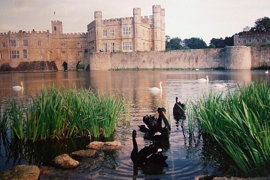 Tour image 6